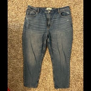 Abercrombie curve love jeans 16S